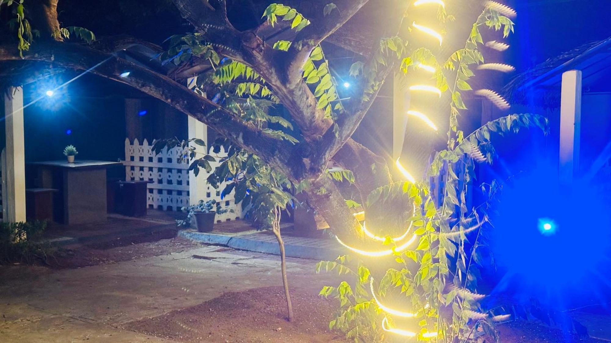 New Peacock Resort Dambulla Bagian luar foto