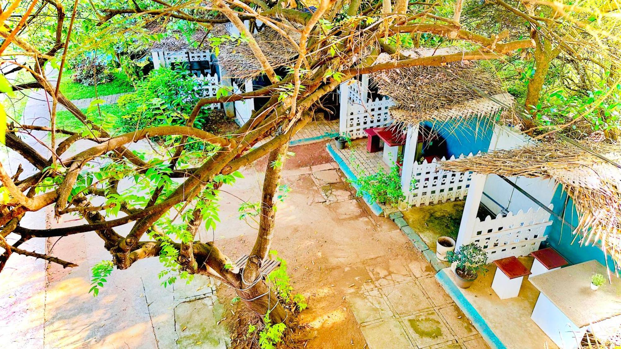New Peacock Resort Dambulla Bagian luar foto